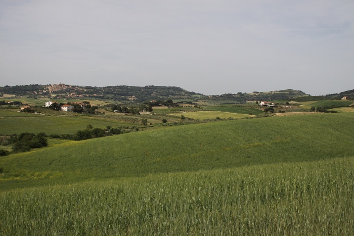 Toscane 09 - 081 - Paysages